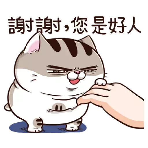肖貓咪中文1 - Sticker 4