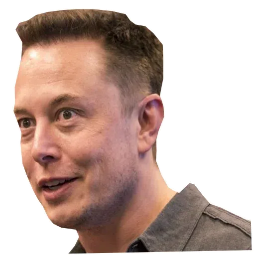 Elon musk 1 - Sticker