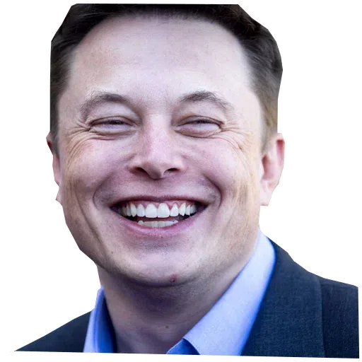 Elon musk 1- Sticker