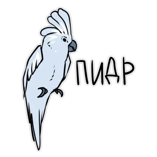 Попугаи - Sticker 8