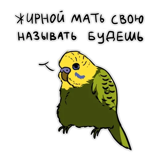 Попугаи- Sticker